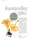 Kantareller