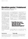 Eksotiske gæster i Vadehavet