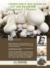Egehøj Champignon