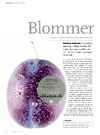 Blommer