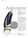 Aubergine