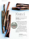 Kanel