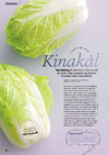 Kinakål