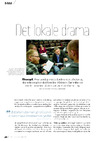 Det lokale drama