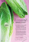 Romaine