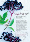 Hyldebær