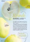 Kvæde