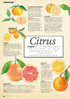 Citrus