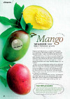Råvaren: Mango