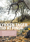 Lykken tager tid at finde
