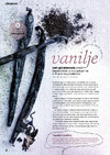 Råvaren: Vanilje