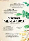 Derfor er kartoflen sund