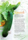 Squash