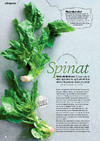 Spinat