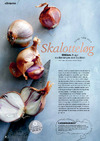Skalotteløg
