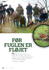 Før fuglen er fløjet
