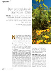 Den økologiske vin blomstrer i Chile