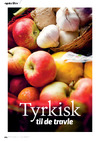 Tyrkisk til de travle