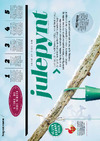 Julepynt