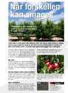 Når foskellen kan smages