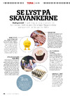 Se lyst på skavankerne