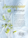 Råvaren: Bønnespirer