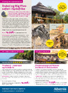 Bagside: Dubai og big five-safari i Sydafrika