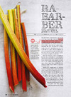rabarber