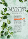 Mynte