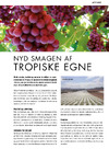 Nyd smagen af tropiske egne