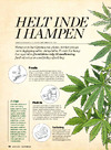 Helt inde i hampen