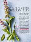 Salvie