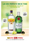 Lav den perfekte gin og tonic