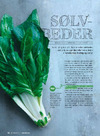 Sølvbeder