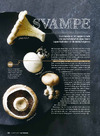 Svampe