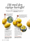 Hit med den rigtige kartoffel