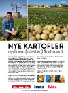 Nye kartofler 