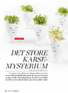Det store karsemysterium