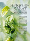 Hjertesalat