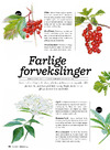 Farlige forvekslinger 
