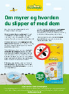 Om myrer og hvordan du slipper af med dem
