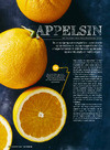 Appelsin 