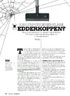 Kan støvsugeren klare edderkoppen?