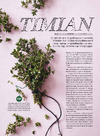 Timian