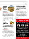 Månedens ø-deal