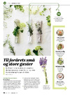 Til forårets små og store gæster