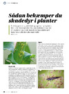 Sådan bekæmper du skadedyr i planter