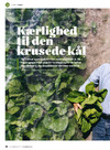 Vores mad - kærlighed til den krusede kål