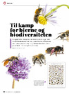 Ildsjæl - til kamp for bierne og biodiversiteten