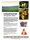 Citrusfrugter